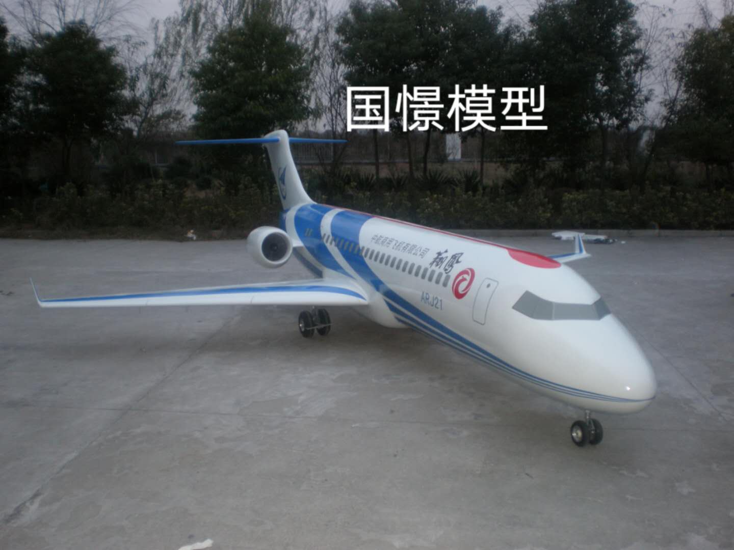 肥东县飞机模型